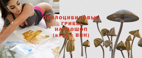 спиды Белокуриха